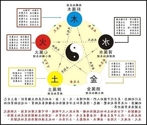 2025 五行